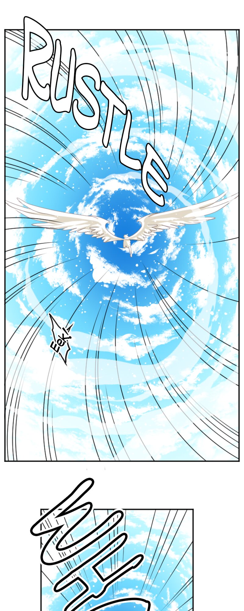 55536550 800 2000 304300